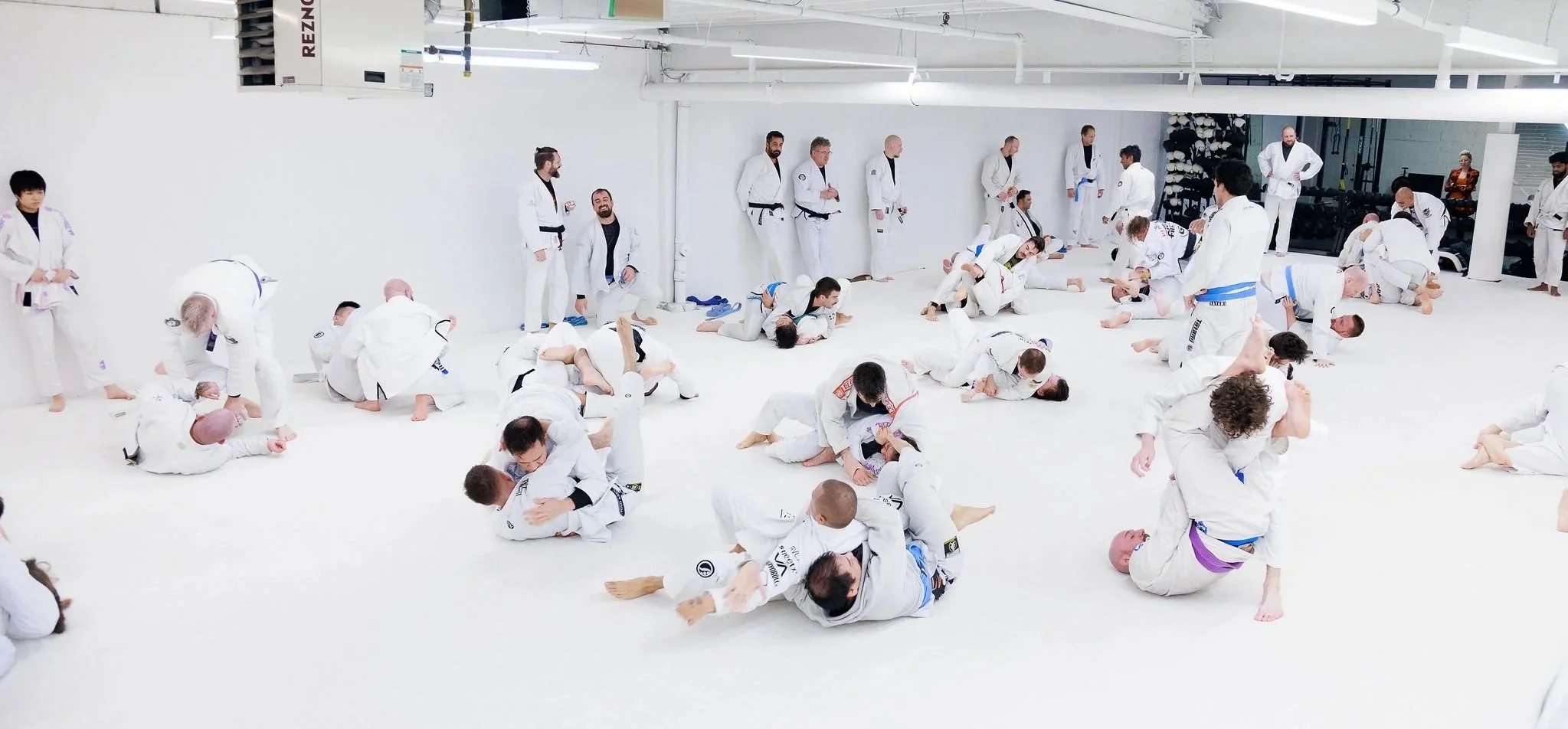 Adult Brazilian Jiu-Jitsu class at Ethereal BJJ Academy