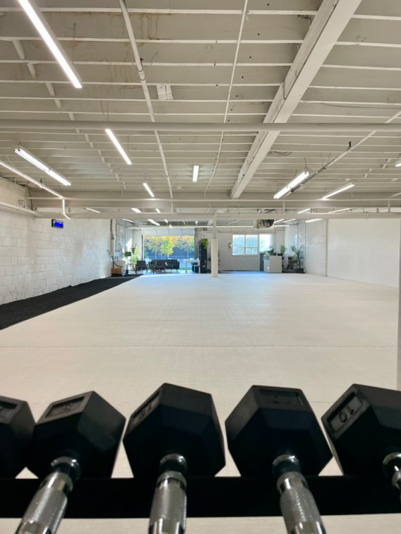 Ethereal BJJ mat space viewed from the gym area